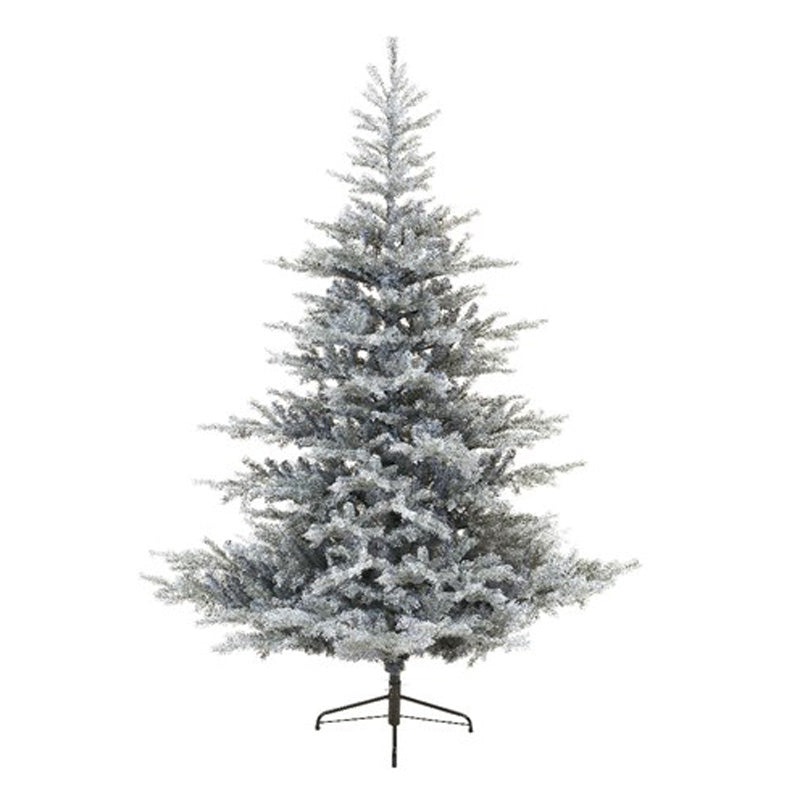 Everlands Grandis Fir Frosted 240 cm, grijs, zonder verlichting, model 681473