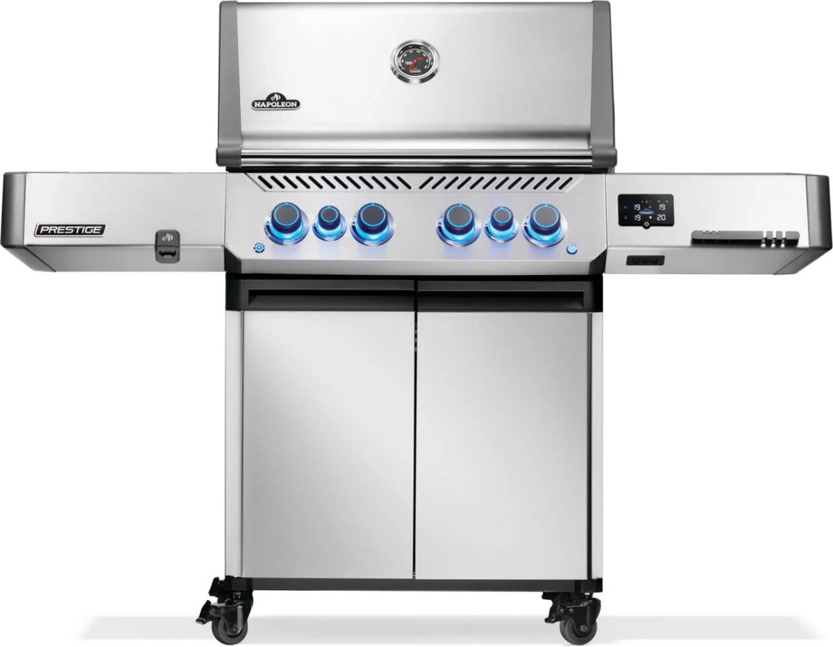 Napoleon Prestige 500 Connected RSIB RVS dettaglio