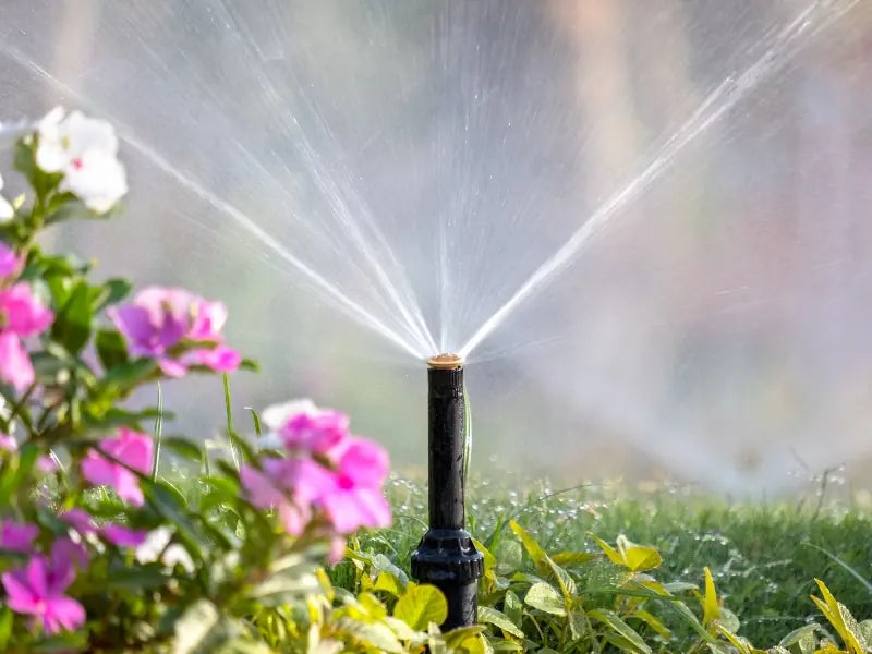 Bewatering